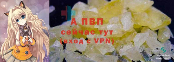 дмт Богданович