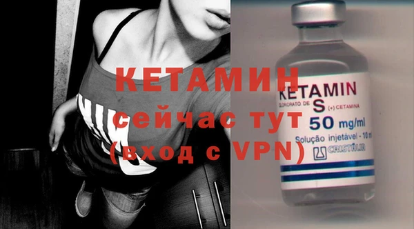 дмт Богданович