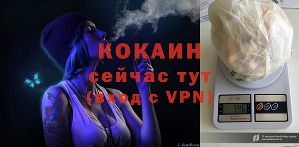 дмт Богданович
