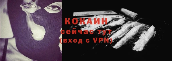 дмт Богданович