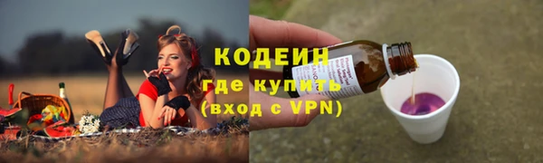 дмт Богданович