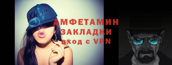дмт Богданович