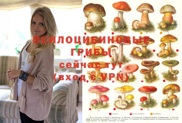 MESCALINE Богородск