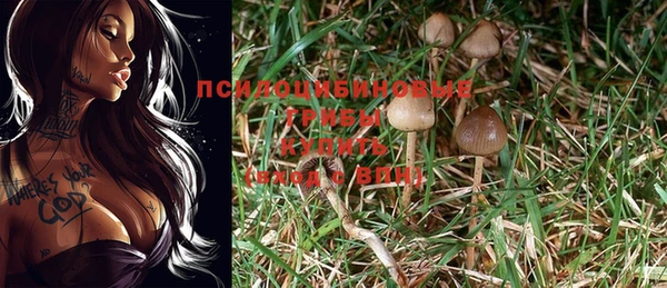 MDMA Богородицк