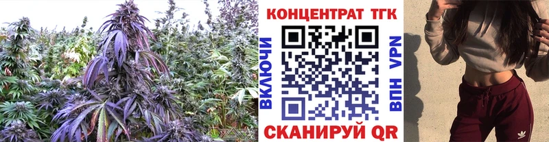 hydra онион  как найти закладки  Бирюч  ТГК концентрат 